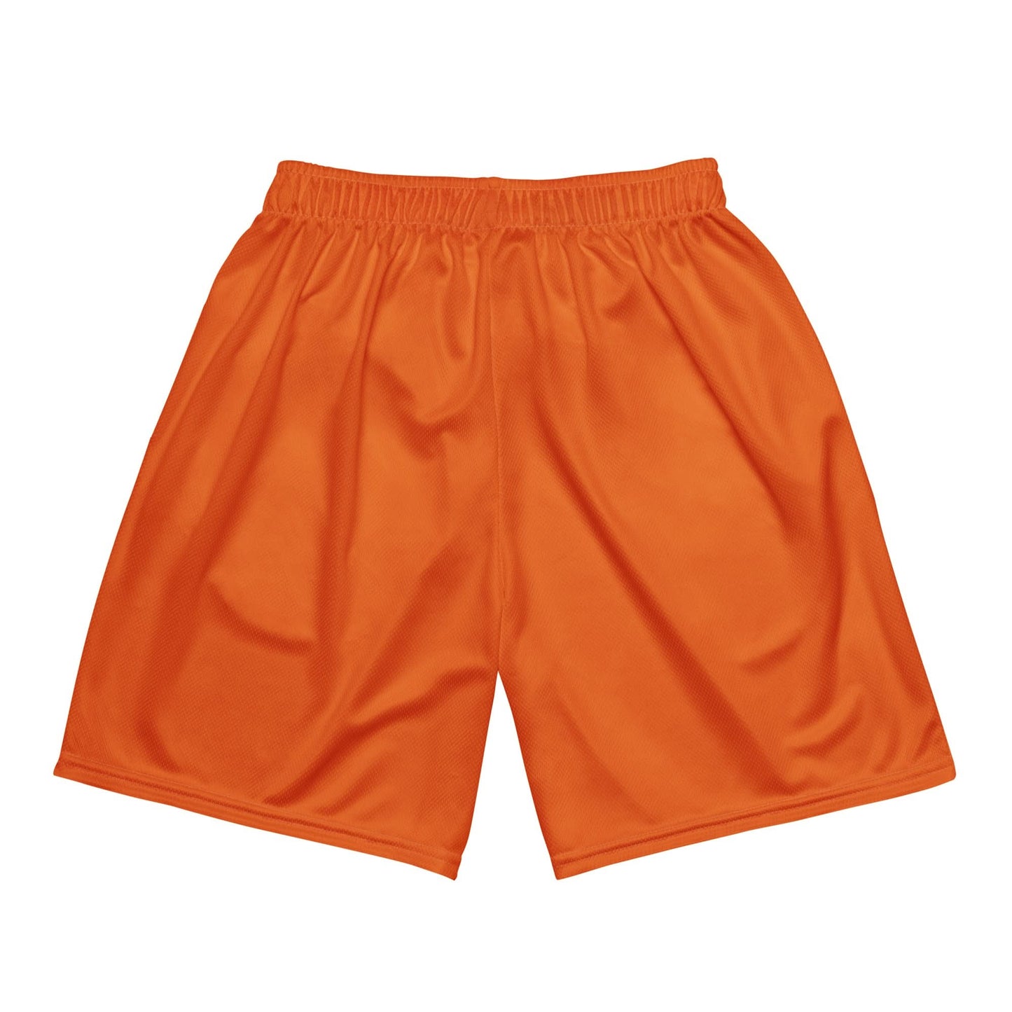 Limited Edition Everything Orange Unisex mesh shorts