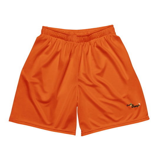 Limited Edition Everything Orange Unisex mesh shorts